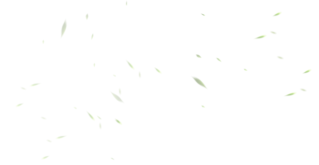 叶子.png